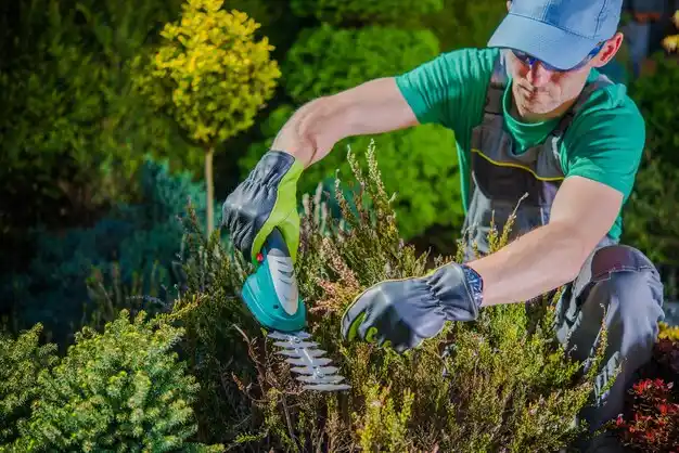 landscaping services Cecilia